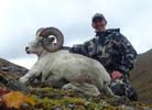Alaska Remote Guide Service - Hunt Dall Sheep, Brown Bear and Bull Moose