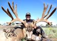 Arizona Strip Guides - Hunt the biggest bucks on your once-in-a-lifetime hunt