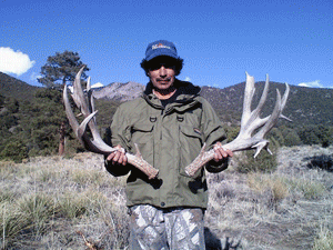 Awesome Shed Antlers