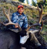 Western Wildlife Adventures - Mule Deer, Elk, Antelope and Sheep Hunts in Nevada