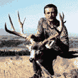 Buck & Bull Stories