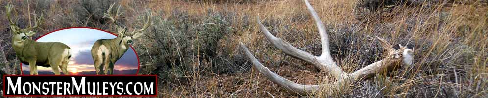 Mule Deer, Elk and Western Big Game Hunting - MonsterMuleys.com