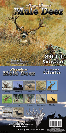 2011magnificentmuledeercalendar-1.jpg