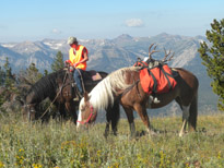 Yellowstone Horse Rentals
