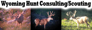 Hunt Consulting and Scouting