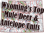 Wyoming's Top Mule Deer & Antelope Hunts