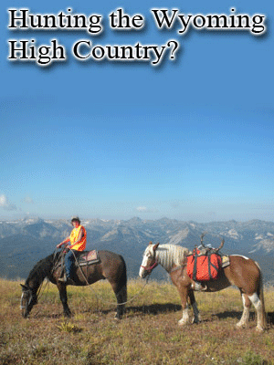Yellowstone Horse Rentals - Western Wyoming Horses