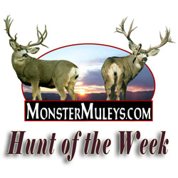 Hunt of the Week Podcasts