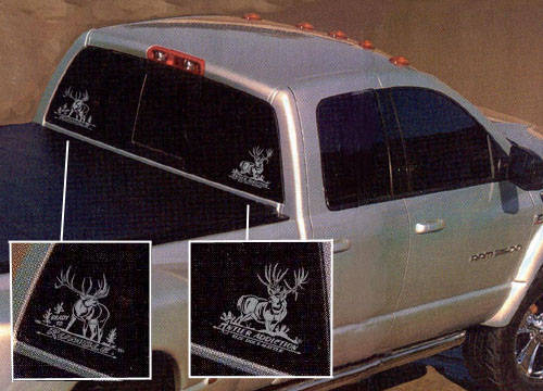 Great Looking Decals