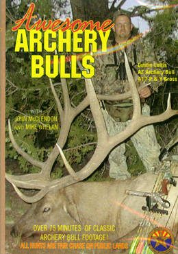 Awesome Archery Bulls