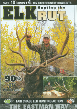 Elk Hunting The Rut