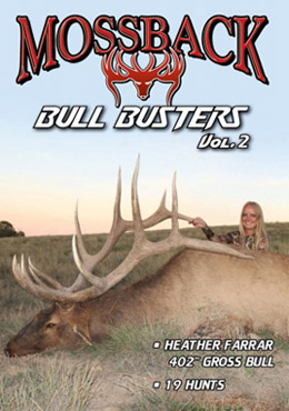 MossBack Bull Busters 2