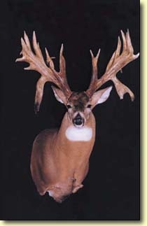 The Sheds from Bob's Wyoming State Record