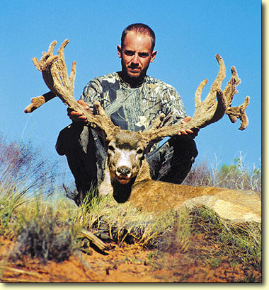 Casey's 40-inch Buck