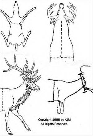 Mule Deer Elk And Western Big Game, How To Skin An Elk For A Rug