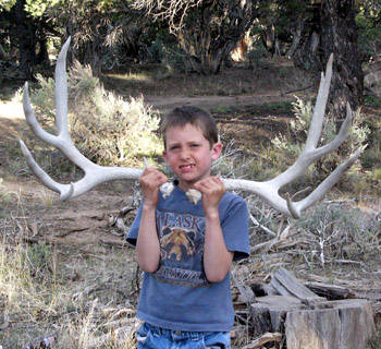 Shed Hunting & Spring Scouting