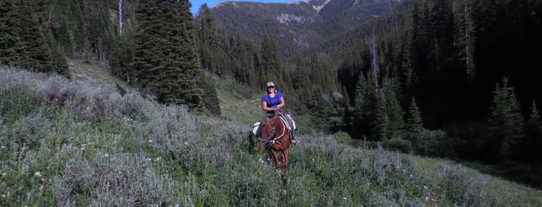 Western Wyoming Horse Rentals